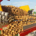 Primary post-harvest processing-cleaning equipment